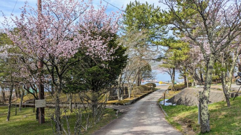 山中湖へ