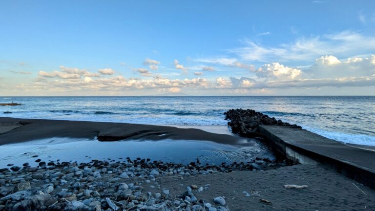 海