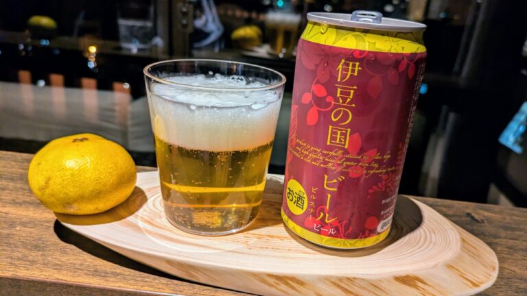 部屋のみ