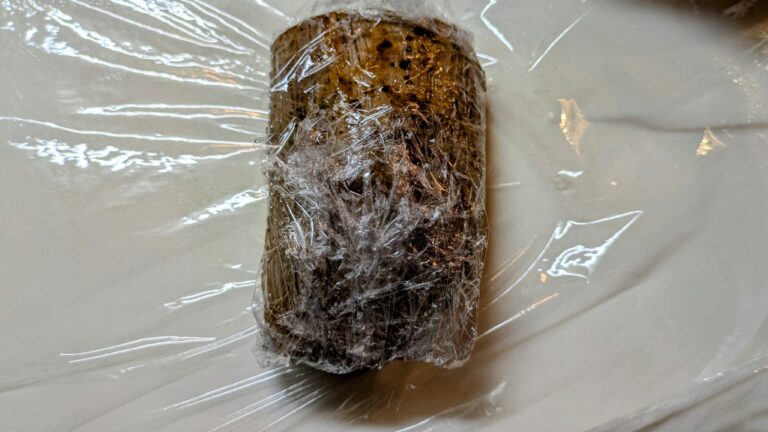 ラップでくるむ