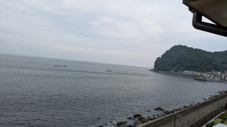 海