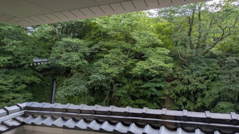 風景